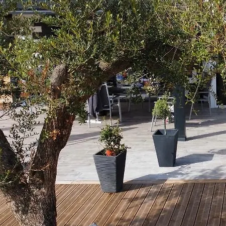 Mas Avec Piscine Et Jacuzzi Sur Sur * Argeles-sur-Mer