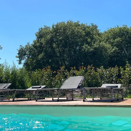 Villa Mas Avec Piscine Et Jacuzzi Sur Sur Argelès-sur-Mer
